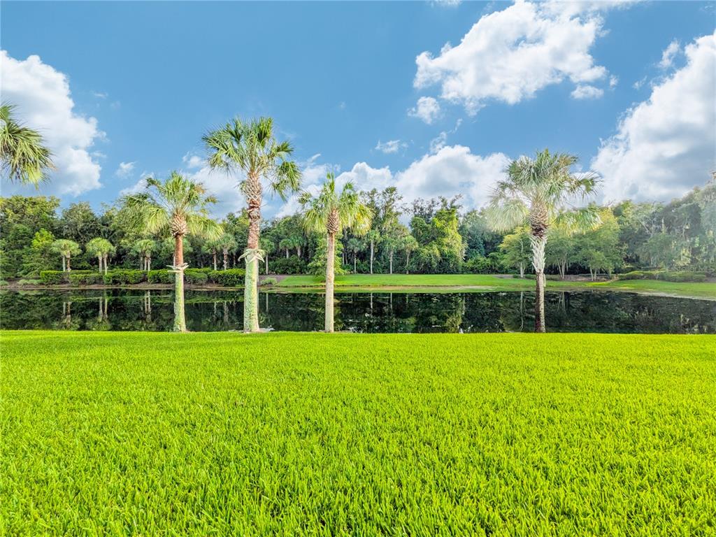 A grassy lawn overlooks a calm pond lined with palm trees under a blue sky — 305 STERNWHEEL DRIVE, ST JOHNS, FL