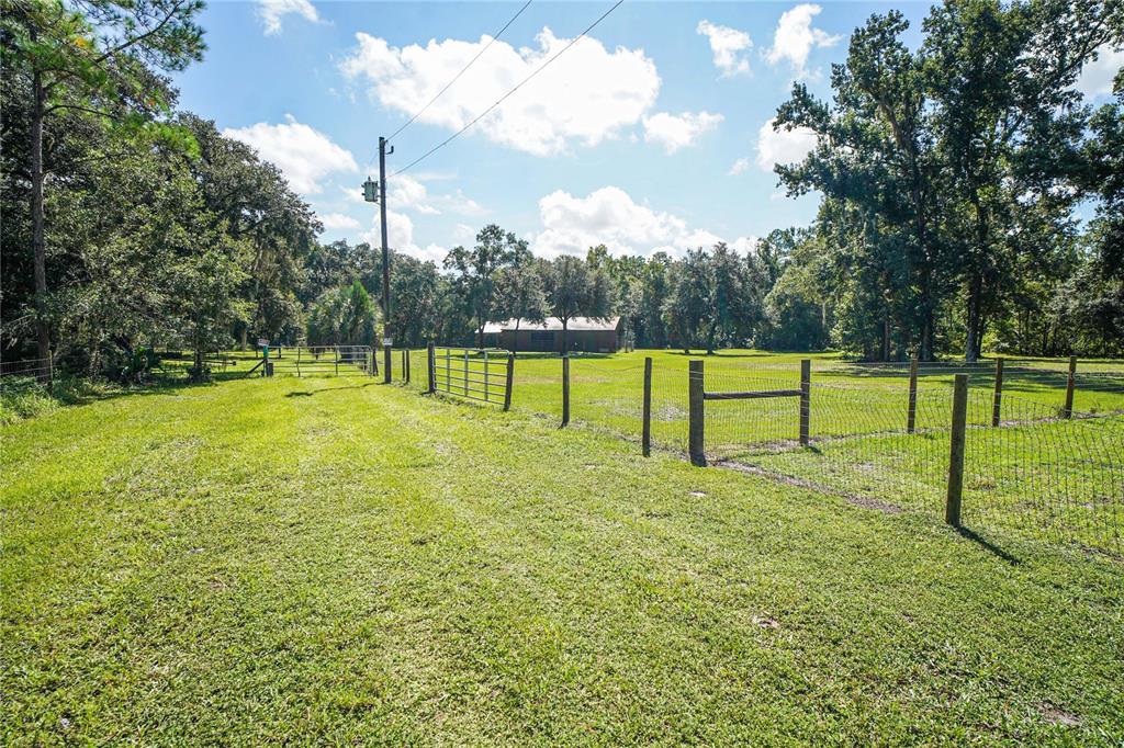 KARLOTTA LANE, LAND O LAKES, FL — photo 3 of 17