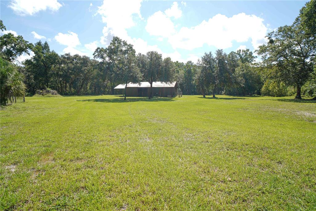 KARLOTTA LANE, LAND O LAKES, FL — photo 5 of 17