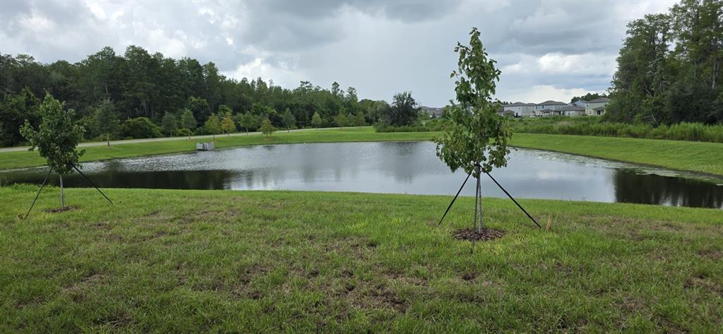 17837 17837 GRASSYBEND LOOP, LAND O LAKES, FL — photo 3 of 16
