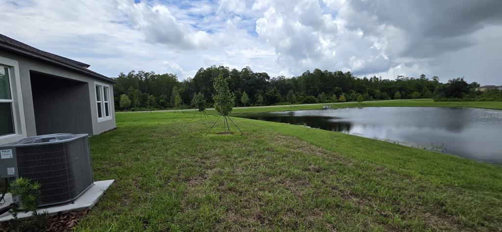 17837 17837 GRASSYBEND LOOP, LAND O LAKES, FL — photo 4 of 16