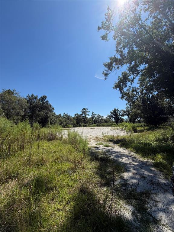 1428 E CHARLES STREET, ARCADIA, FL — photo 2 of 3