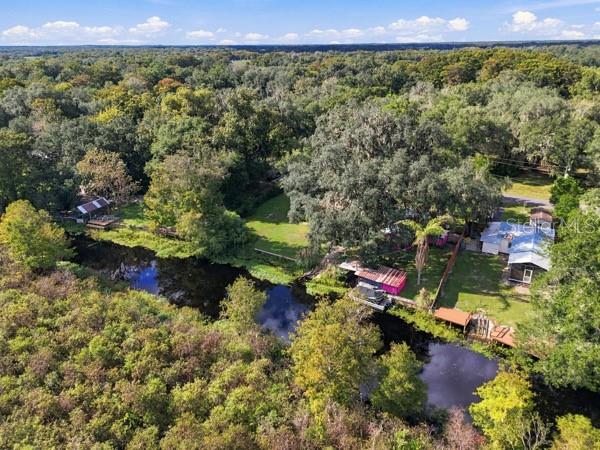 A bright pink house with a metal roof stands next to a large oak tree — 11717 E SALMON DRIVE, FLORAL CITY, FL