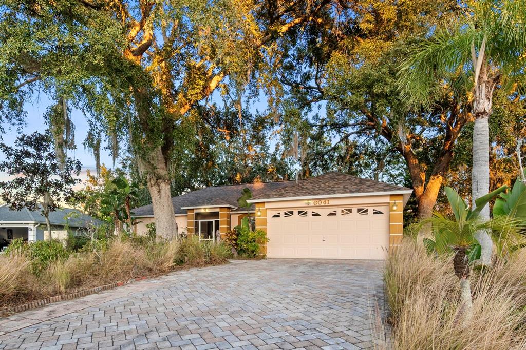 6041 CANOPY OAKS COURT