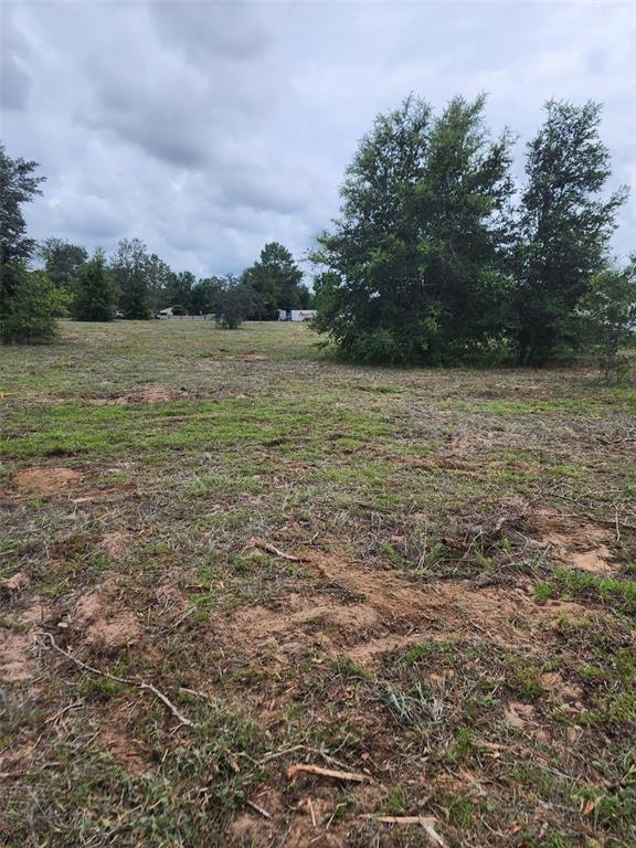 A cleared, grassy lot features scattered debris and several mature trees under a cloudy sky — 4975 E TRISS STREET, INVERNESS, FL