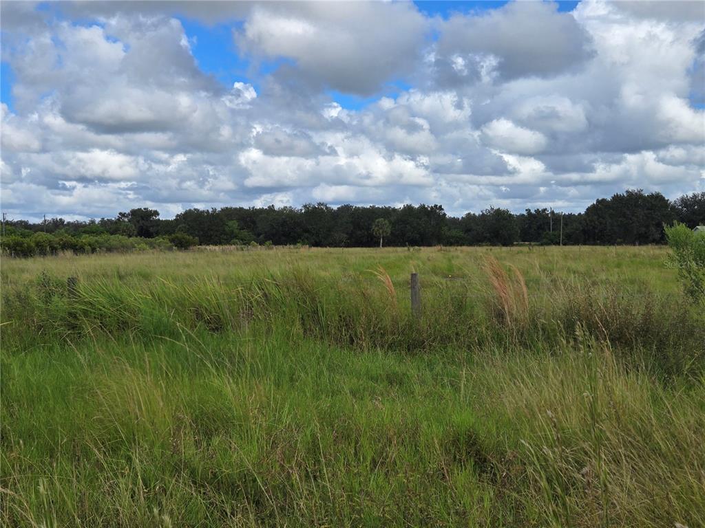 A grassy, fenced-in field sits under a cloudy blue sky with trees in the background — SE PIGGY BACK ROAD, ARCADIA, FL