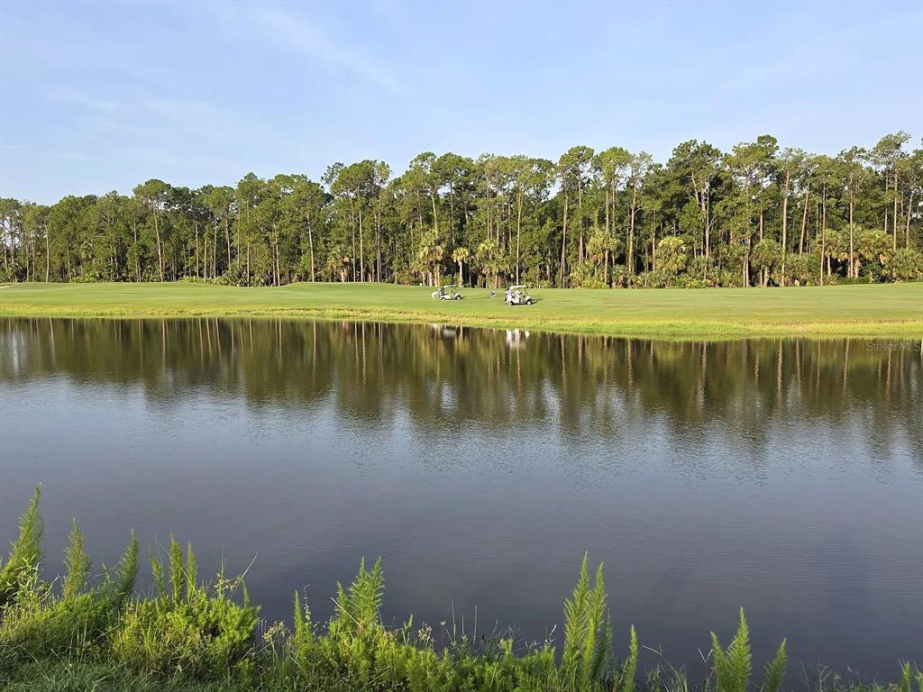 1025 CHAMPION RIDGE DRIVE, DAYTONA BEACH, FL — photo 3 of 30