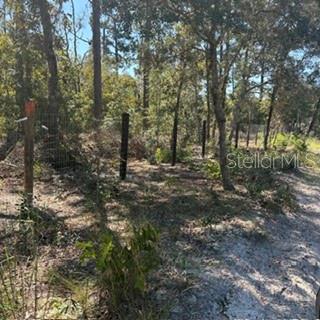 SW 92ND  PLACE, DUNNELLON, FL — photo 3 of 11