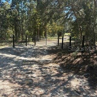 SW 92ND  PLACE, DUNNELLON, FL — photo 5 of 11