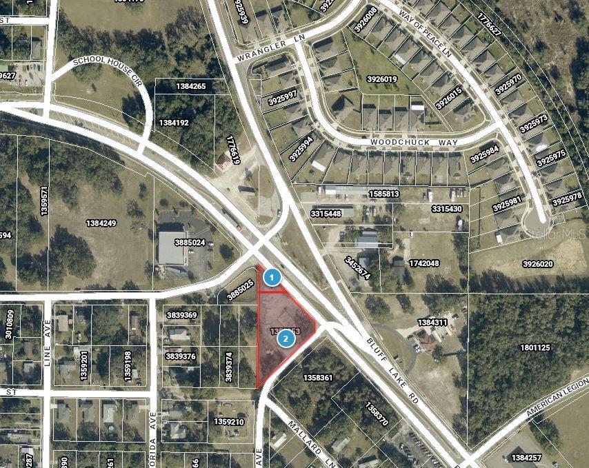 This is an aerial map showing a triangular parcel of land highlighted in red — E MYERS BOULEVARD, MASCOTTE, FL