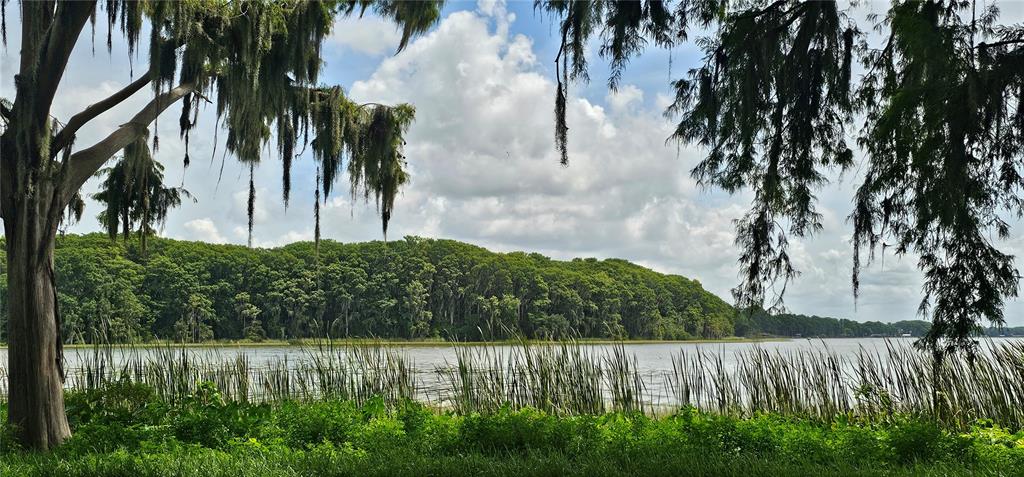 A view of a lake with tall grasses in the foreground and a forested shoreline — PINE ISLAND DRIVE, LEESBURG, FL