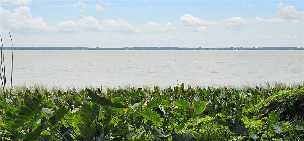 A wide view of a lake with lush green vegetation in the foreground — PINE ISLAND DRIVE, LEESBURG, FL