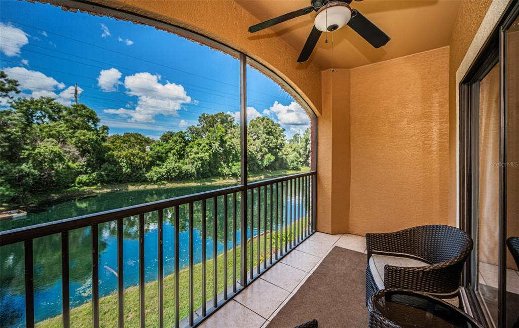 2138 CHIANTI PLACE UNIT 142, PALM HARBOR, FL — photo 2 of 49