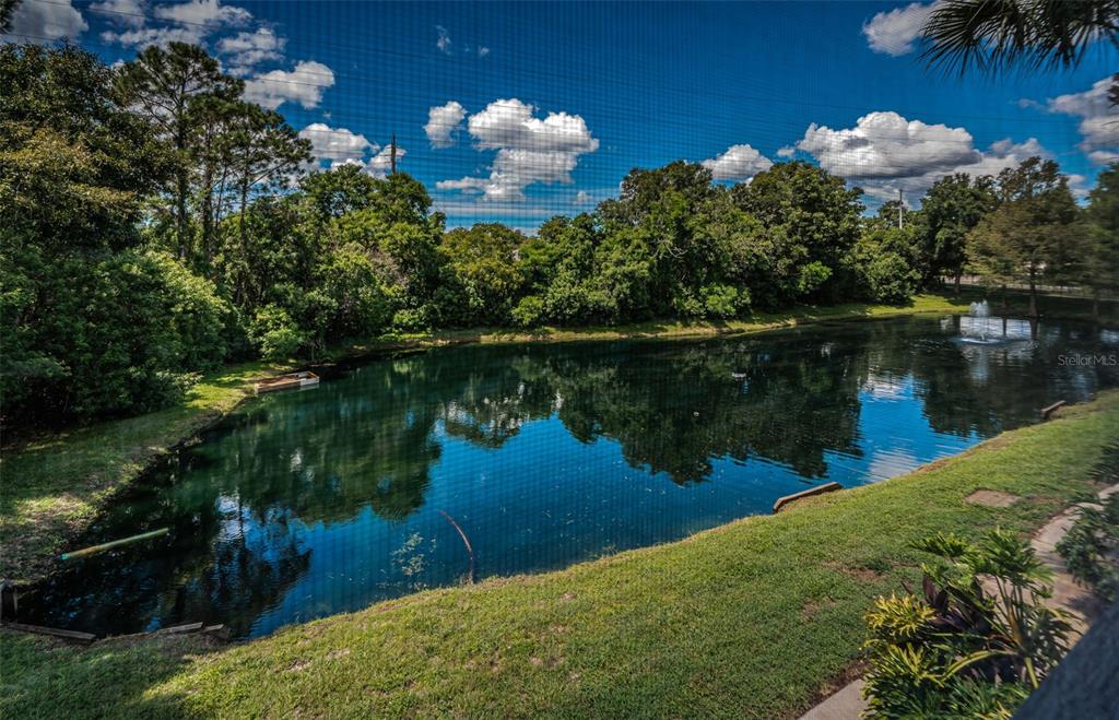 2138 CHIANTI PLACE UNIT 142, PALM HARBOR, FL — photo 5 of 49