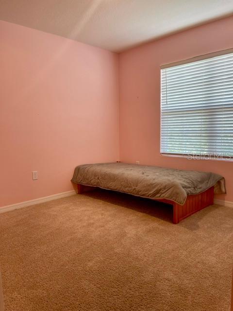 A bedroom with pink walls, beige carpeting, and a single bed under a window — 1810 EAGLE HAMMOCK BOULEVARD, EAGLE LAKE, FL