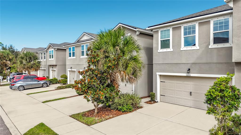 6076 GRAND SONATA AVENUE, LUTZ, FL — photo 2 of 30