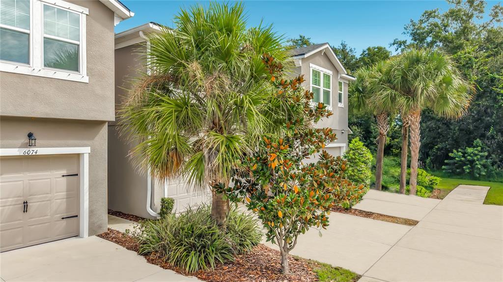 6076 GRAND SONATA AVENUE, LUTZ, FL — photo 5 of 30
