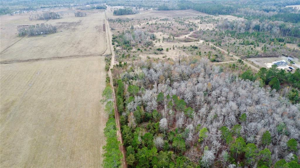An aerial view shows a rural property with a house and a large wooded lot — TBD CR 235, BROOKER, FL
