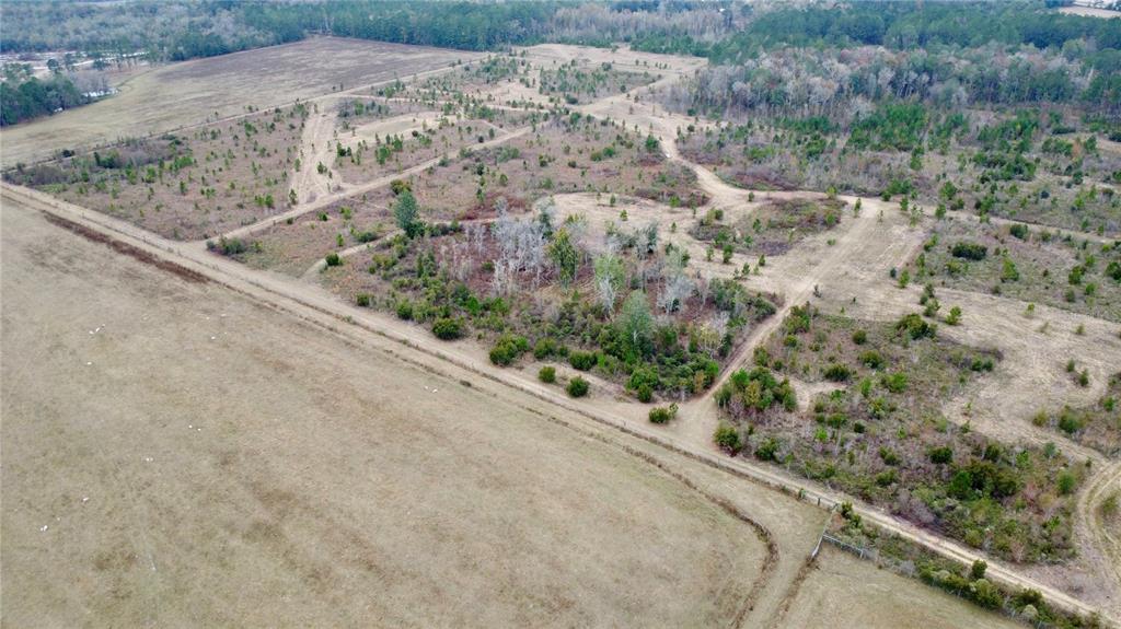 An aerial view shows a large, grassy field transitioning into a wooded area with scattered trees — TBD CR 235, BROOKER, FL
