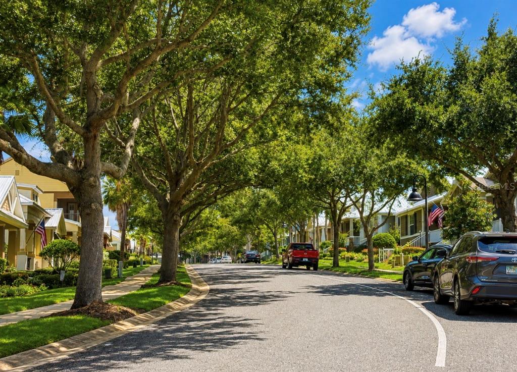A tree-lined residential street with houses, parked cars, and a sidewalk on a sunny day — 1925 APPALACHEE, TAVARES, FL