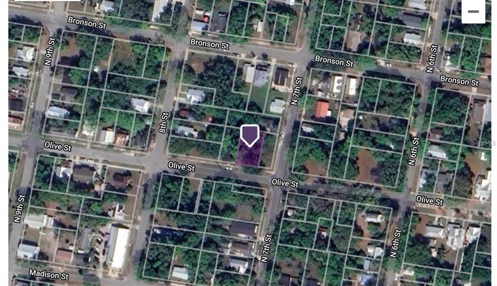 An aerial map view shows a vacant lot highlighted in purple within a residential neighborhood — 702 OLIVE STREET, PALATKA, FL