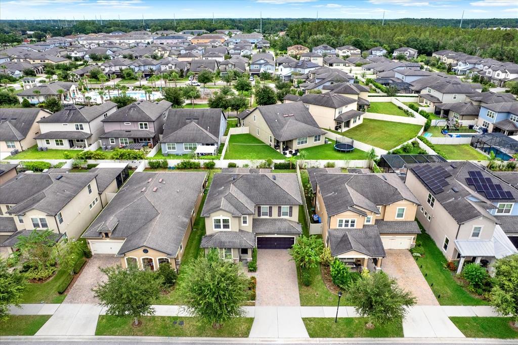 18738 BIRCHWOOD GROVES DRIVE, LUTZ, FL — photo 4 of 30