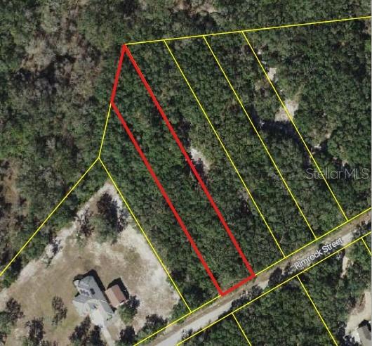 This is an aerial map showing a rectangular plot of land outlined in red — 0 RIM ROCK, WEBSTER, FL