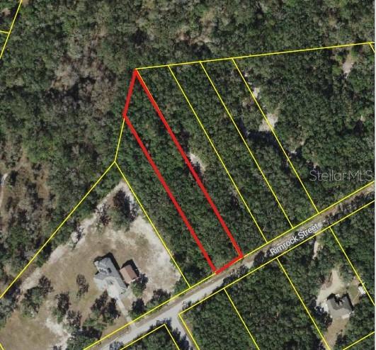 An aerial map shows a vacant, rectangular lot outlined in red along Rimrock Street — 0 RIM ROCK, WEBSTER, FL