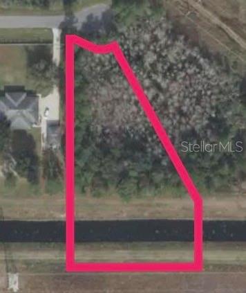 An aerial view shows a vacant, wooded lot outlined in pink — NUTMEG STREET, ORLANDO, FL
