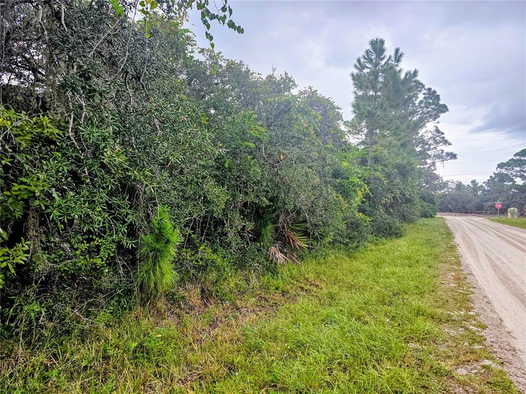 105 BRONSON STREET NW, LAKE PLACID, FL — photo 5 of 10