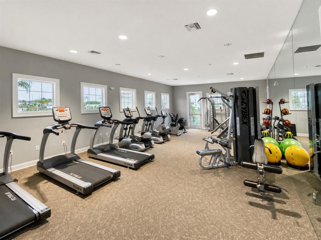 A fitness center with treadmills, a multi-station weight machine, exercise balls, and wall-to-wall mirrors — 3838 CAT MINT STREET, TAMPA, FL
