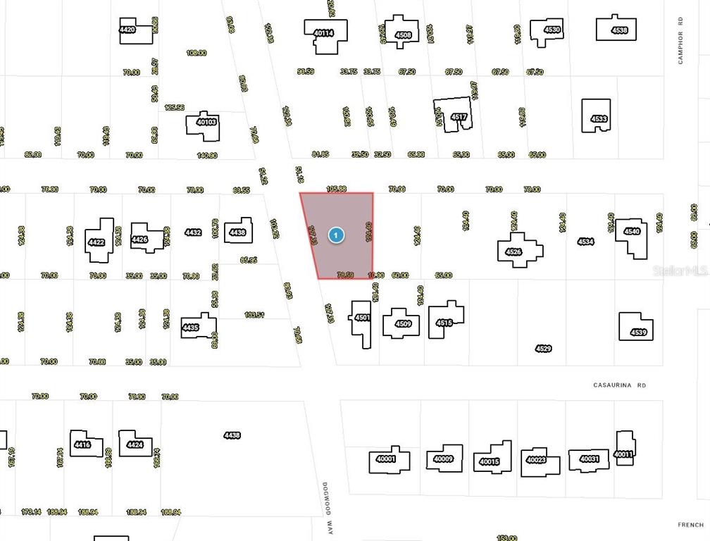 This is a property map showing a highlighted lot and surrounding residential parcels — DOGWOOD WAY, LADY LAKE, FL