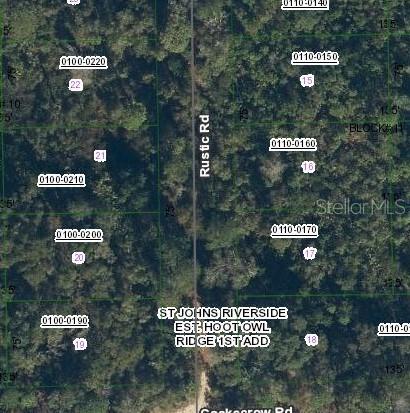 This is a satellite map showing a grid of wooded residential lots along Rustic Road — 231 RUSTIC ROAD, SATSUMA, FL