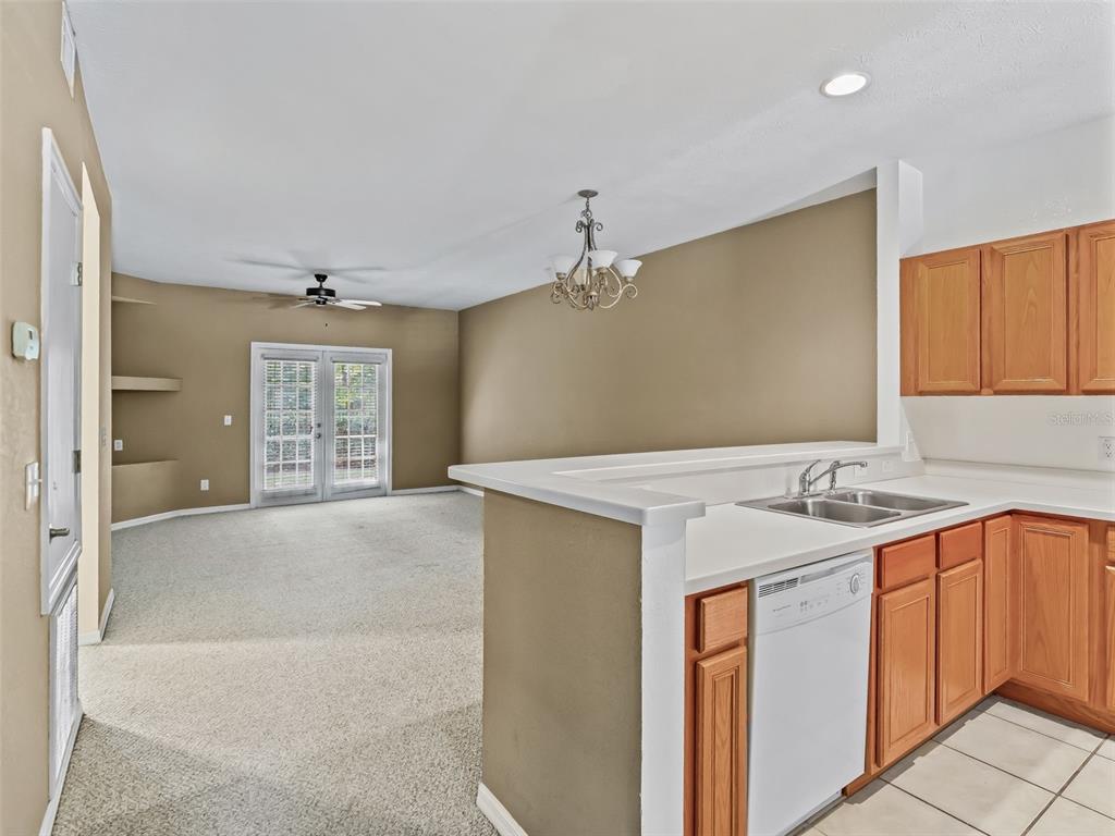 A kitchen with light countertops and wood cabinets overlooks a carpeted living area with doors — 231 NE 28TH AVENUE UNIT 309, OCALA, FL