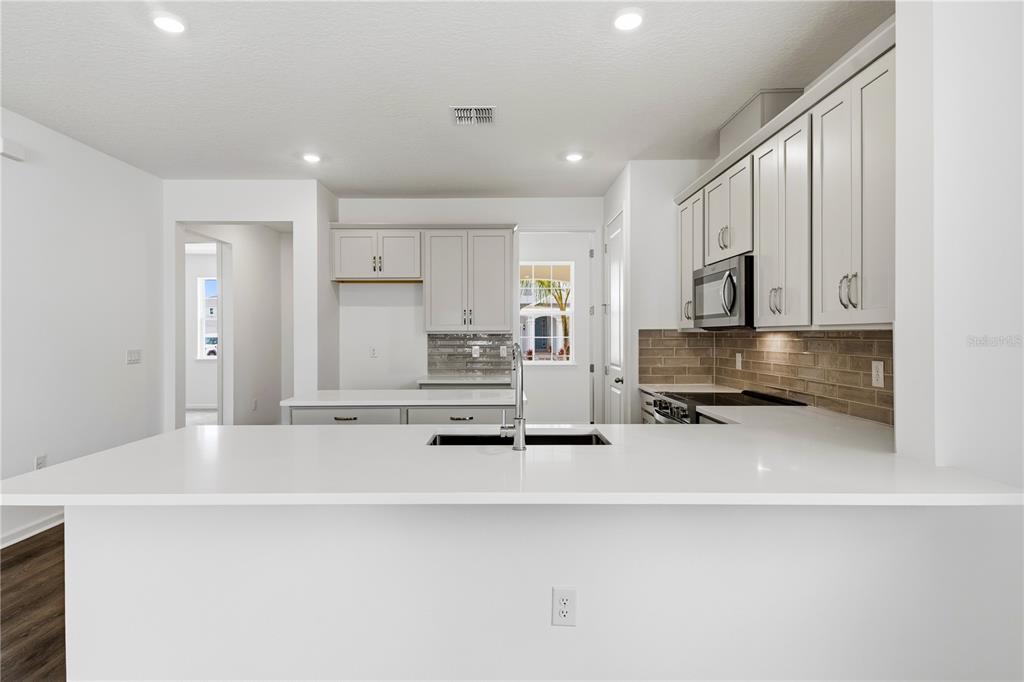 17049 HAGGERTY HOLLOW DRIVE, WINTER GARDEN, FL — photo 5 of 30