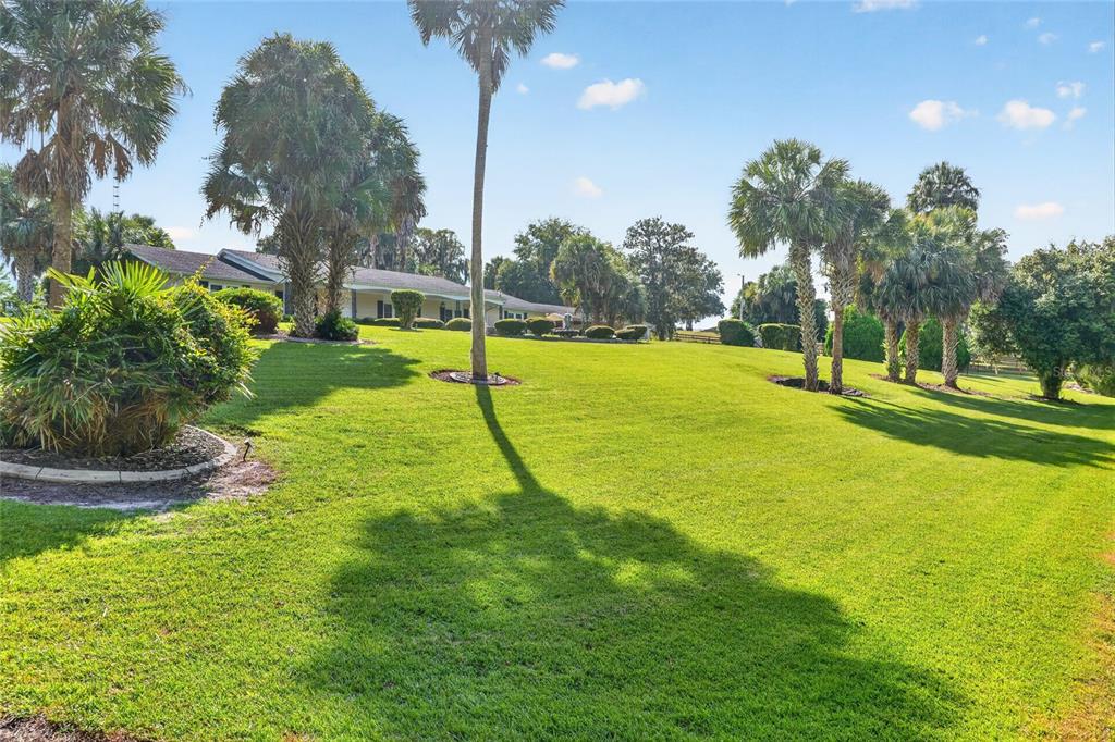 6994 NW HIGHWAY 320, MICANOPY, FL — photo 5 of 30