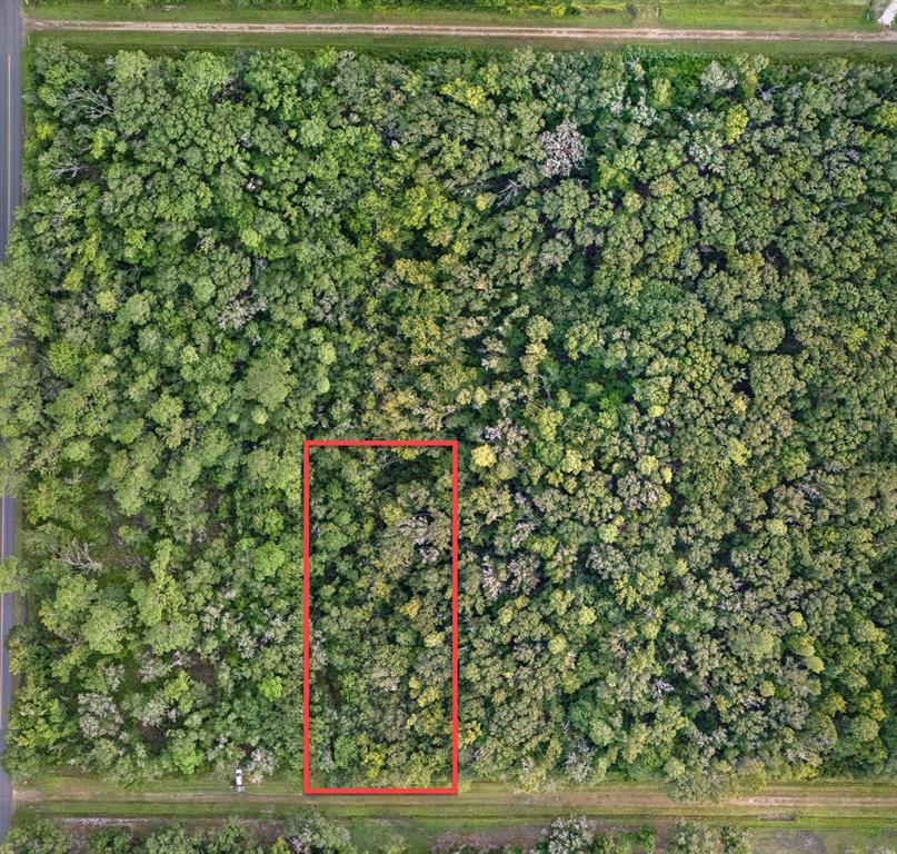 An aerial view shows a rectangular plot of land outlined in red within a wooded area — 4725 ALVIN STREET, HASTINGS, FL