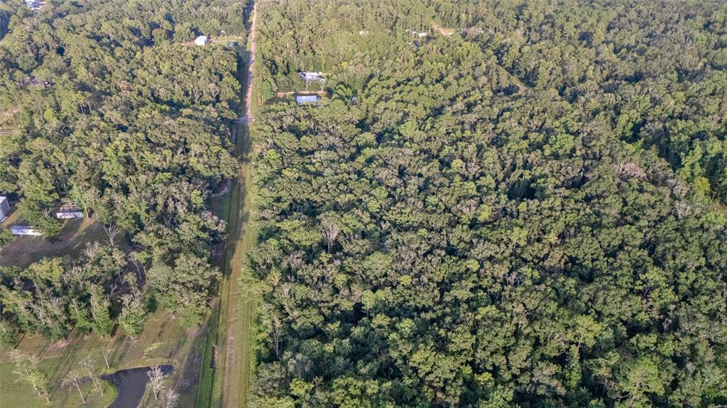 An aerial view shows a dirt road dividing a dense forest and cleared residential lots — 4725 ALVIN STREET, HASTINGS, FL