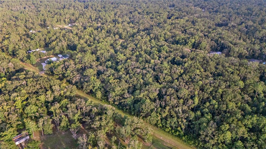 An aerial view shows a dense forest with scattered residential homes and a grassy path — 4725 ALVIN STREET, HASTINGS, FL