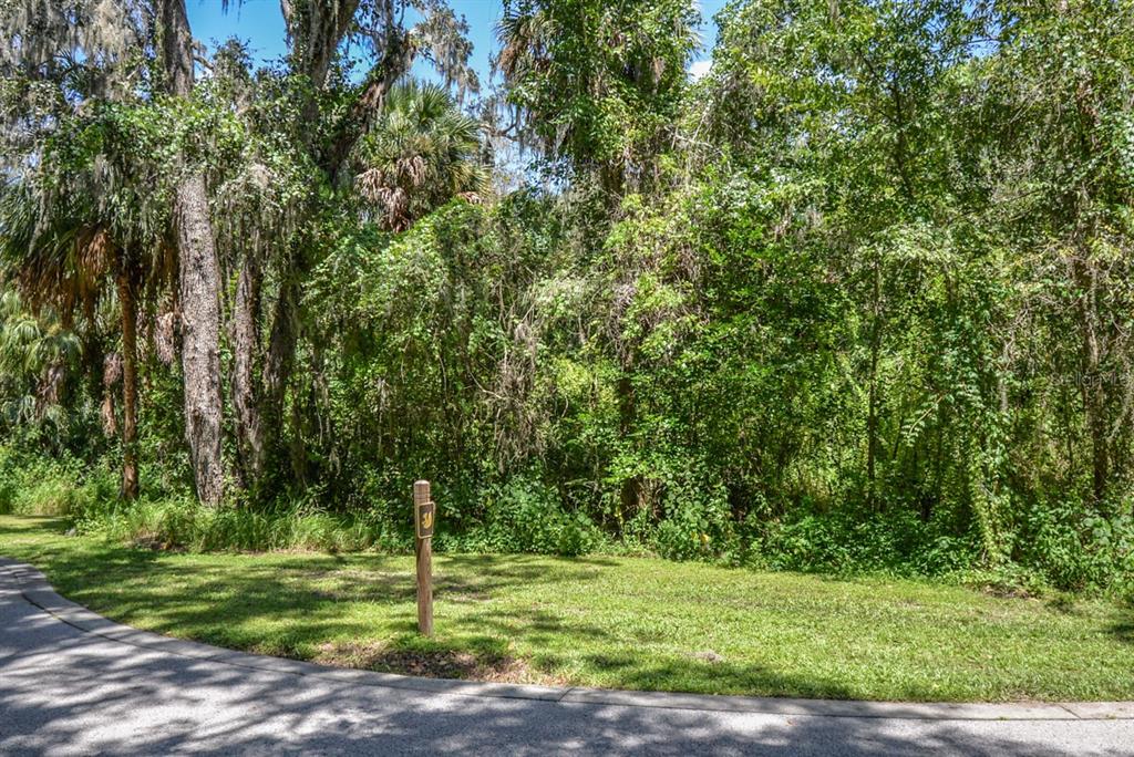 A paved road borders a grassy lot with a wooden post and dense surrounding trees — 4808 RAMBLING RIVER ROAD, BRANDON, FL