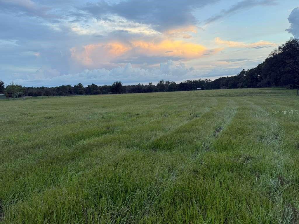 A wide, grassy field stretches toward a line of trees under a cloudy sunset sky — 27900 BAYHEAD ROAD, DADE CITY, FL