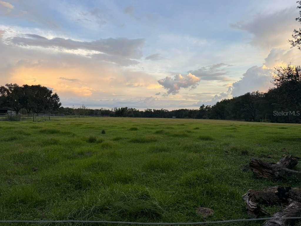 A wide, grassy pasture is framed by trees under a sunset sky — 27900 BAYHEAD ROAD, DADE CITY, FL