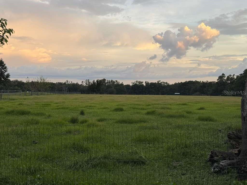 A wide, grassy pasture is enclosed by a wire fence under a cloudy sunset sky — 27900 BAYHEAD ROAD, DADE CITY, FL