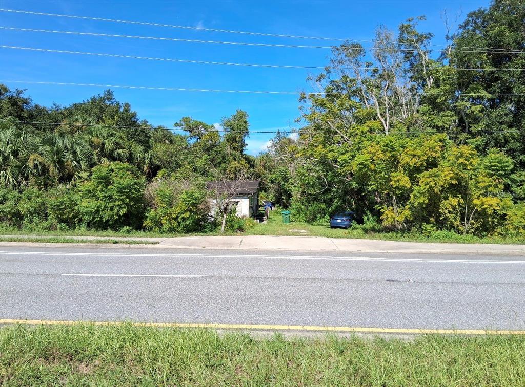 A small, weathered house sits behind dense vegetation and trees along a paved road — 438 N STATE ROAD 415, OSTEEN, FL