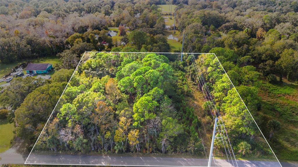 An aerial view shows a rectangular, wooded plot of land bordered by a paved road — PINEDALE ROAD, EDGEWATER, FL
