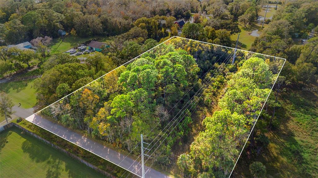 An aerial view shows a rectangular, wooded plot of land bordered by a paved road — PINEDALE ROAD, EDGEWATER, FL