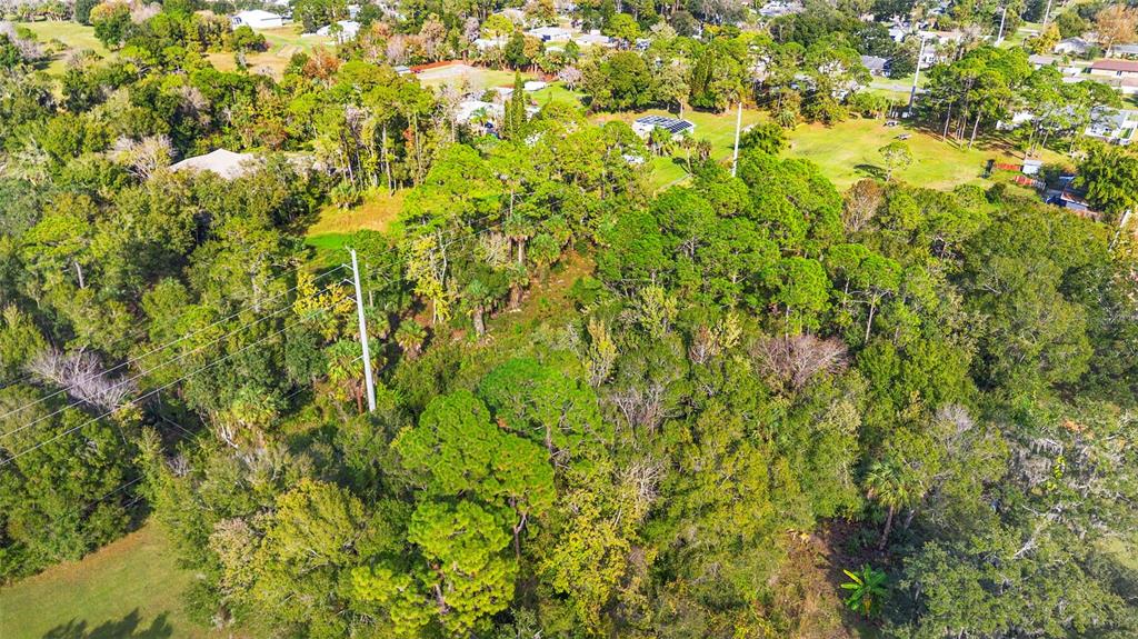 An aerial view shows a wooded lot with power lines running through the trees — PINEDALE ROAD, EDGEWATER, FL