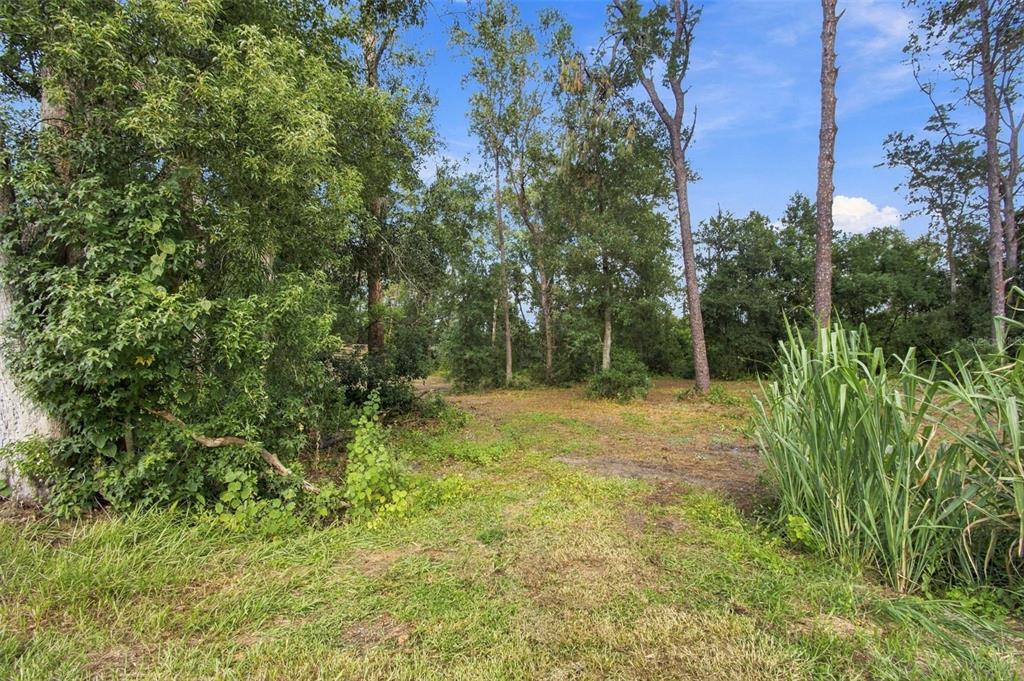 867 SUNSET LANE, LUTZ, FL — photo 5 of 30