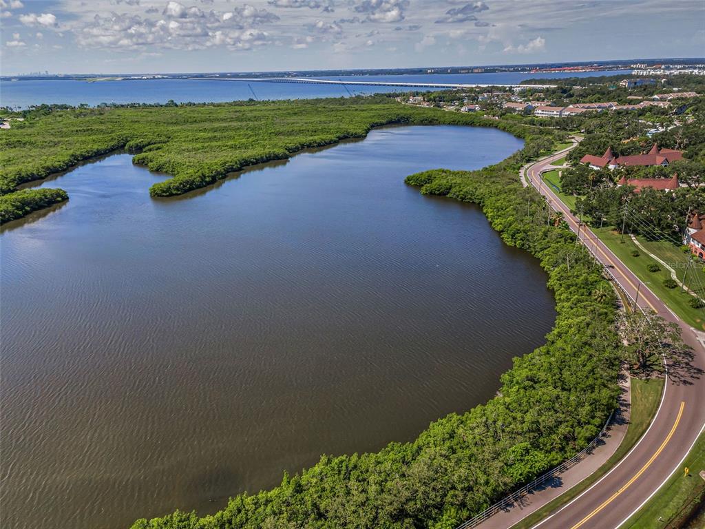 An aerial view shows a large body of water bordered by mangroves and a coastal road — 320 N BAYSHORE BOULEVARD UNIT 107, CLEARWATER, FL