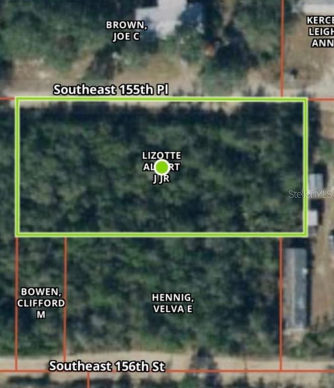 This is an aerial map showing a rectangular plot of land outlined in green — 20445 SE 156TH ST STREET, UMATILLA, FL
